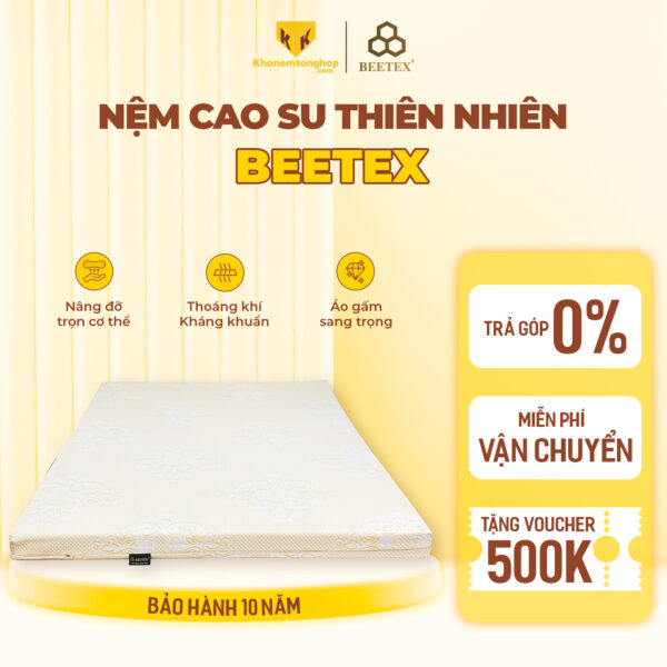 Nệm cao su thiên nhiên 1 mặt lỗ Beetex
