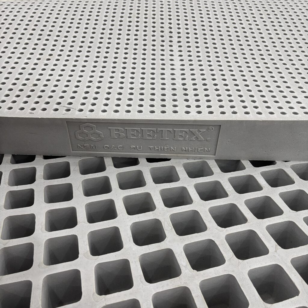 Ruột nệm 100% cao su thiên nhiên tích hợp than hoạt tính